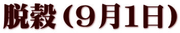 脱穀（９月１日）