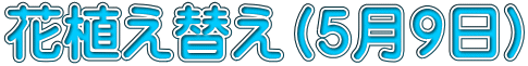 花植え替え（５月９日）