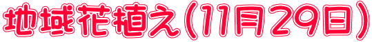 地域花植え（11月29日）