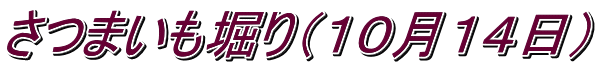 さつまいも堀り（１０月１４日）