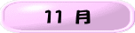 １１ 月