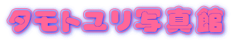 タモトユリ写真館