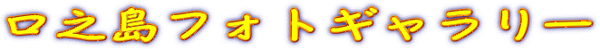 口之島フォトギャラリー