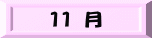 １１ 月