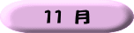 １１ 月