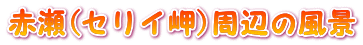 赤瀬(セリイ岬)周辺の風景
